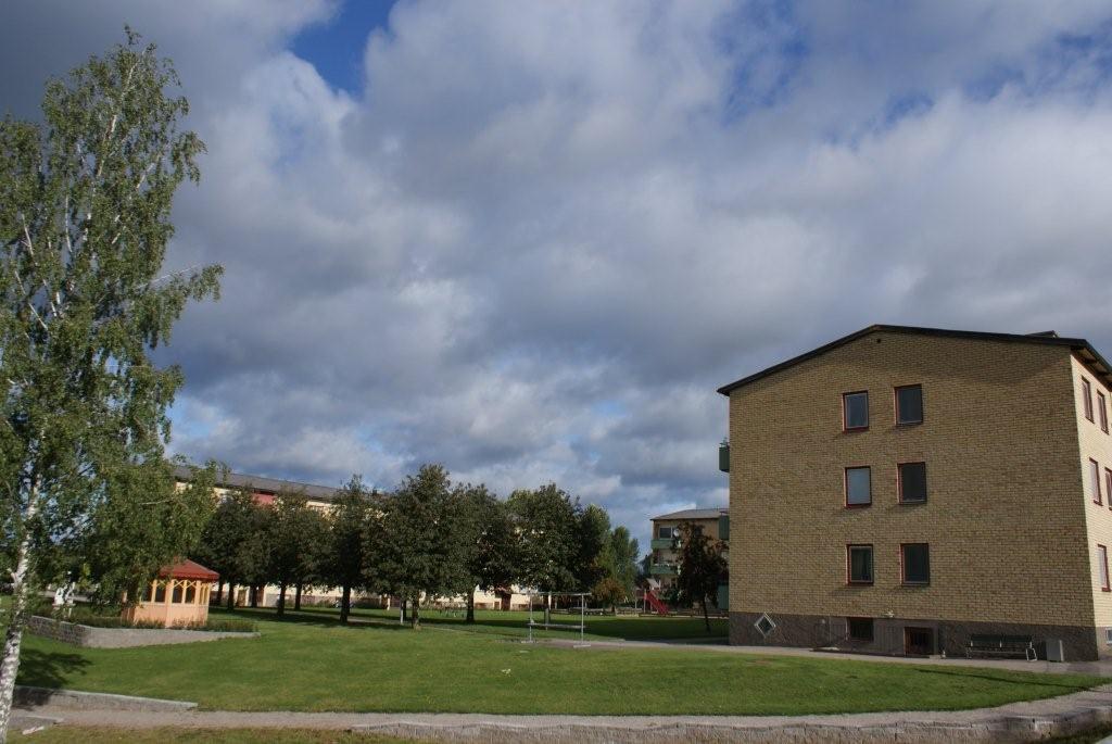 image-10031