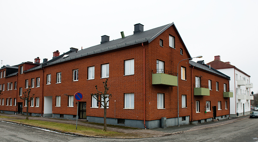 image-10248