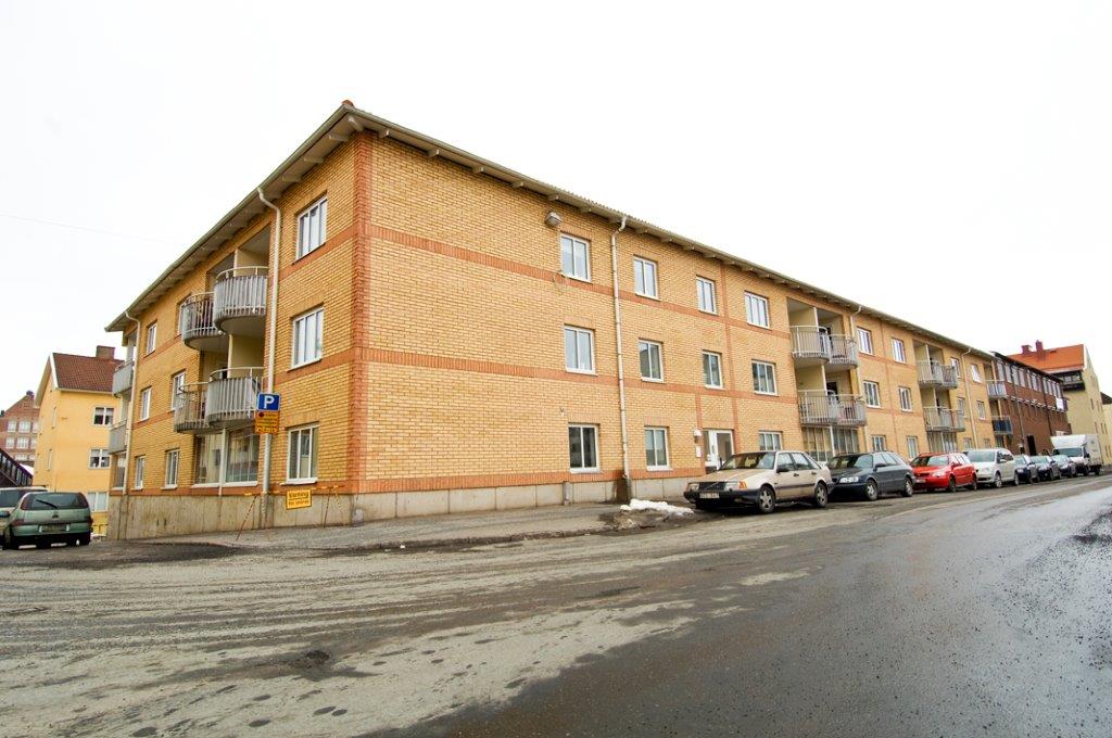 image-11009