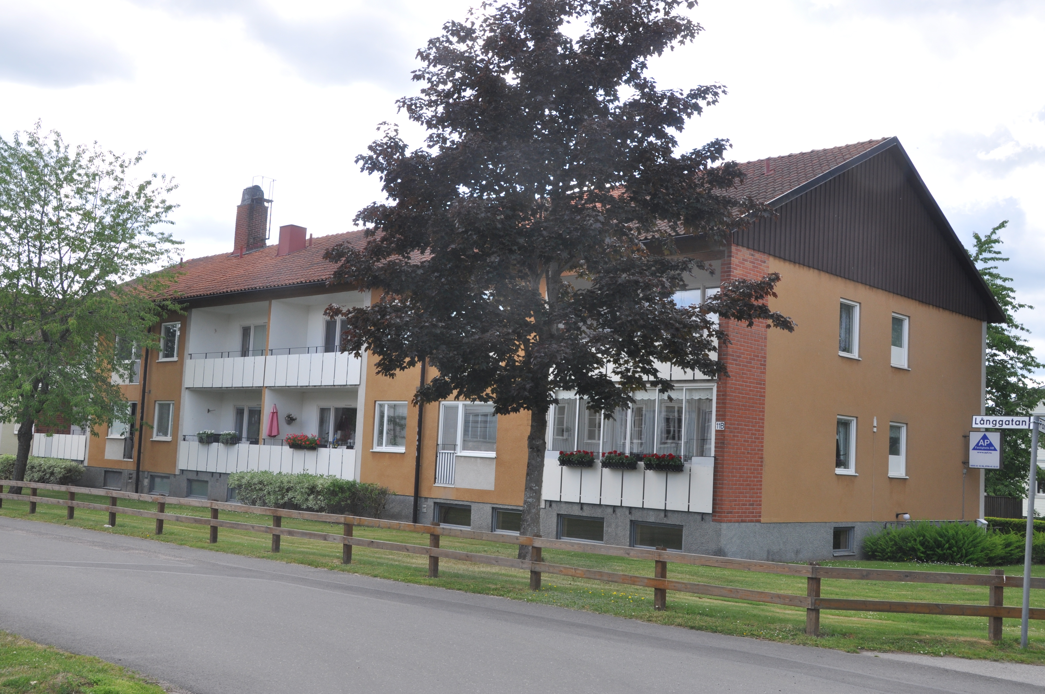 image-11021