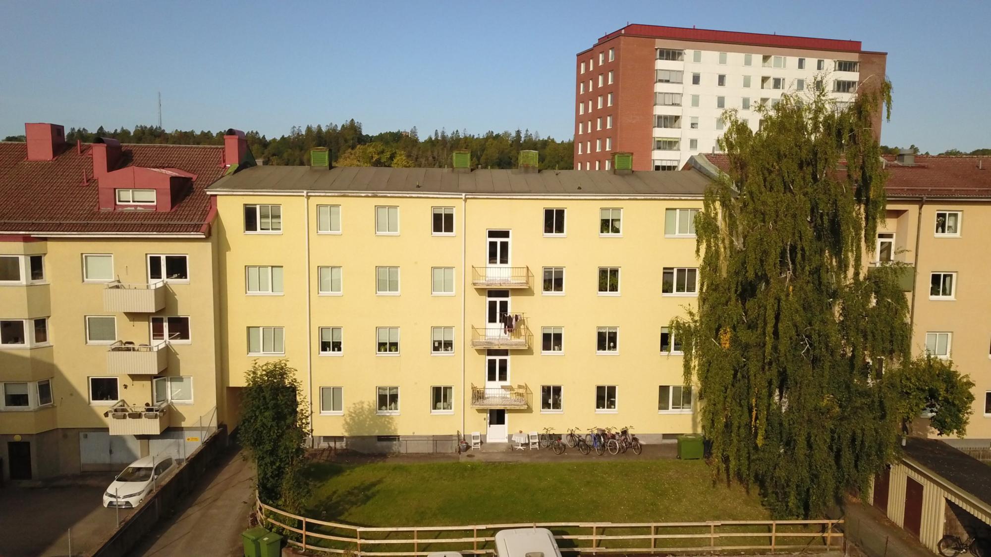 image-11064