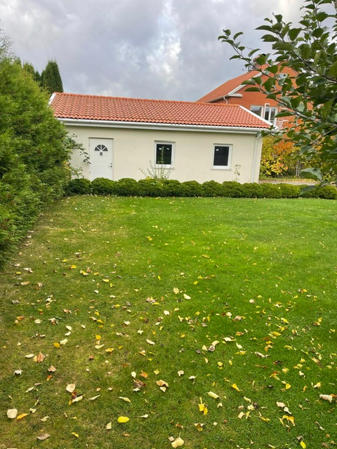 image-20755
