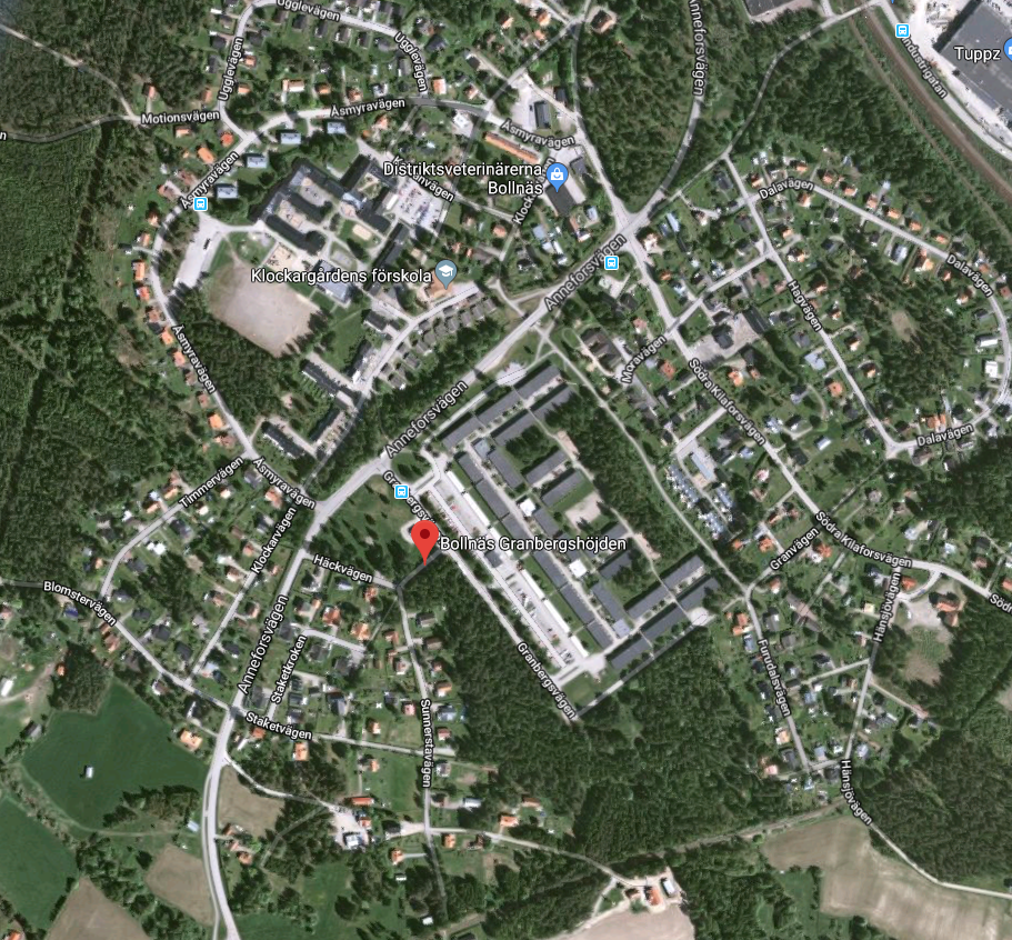 image-5594