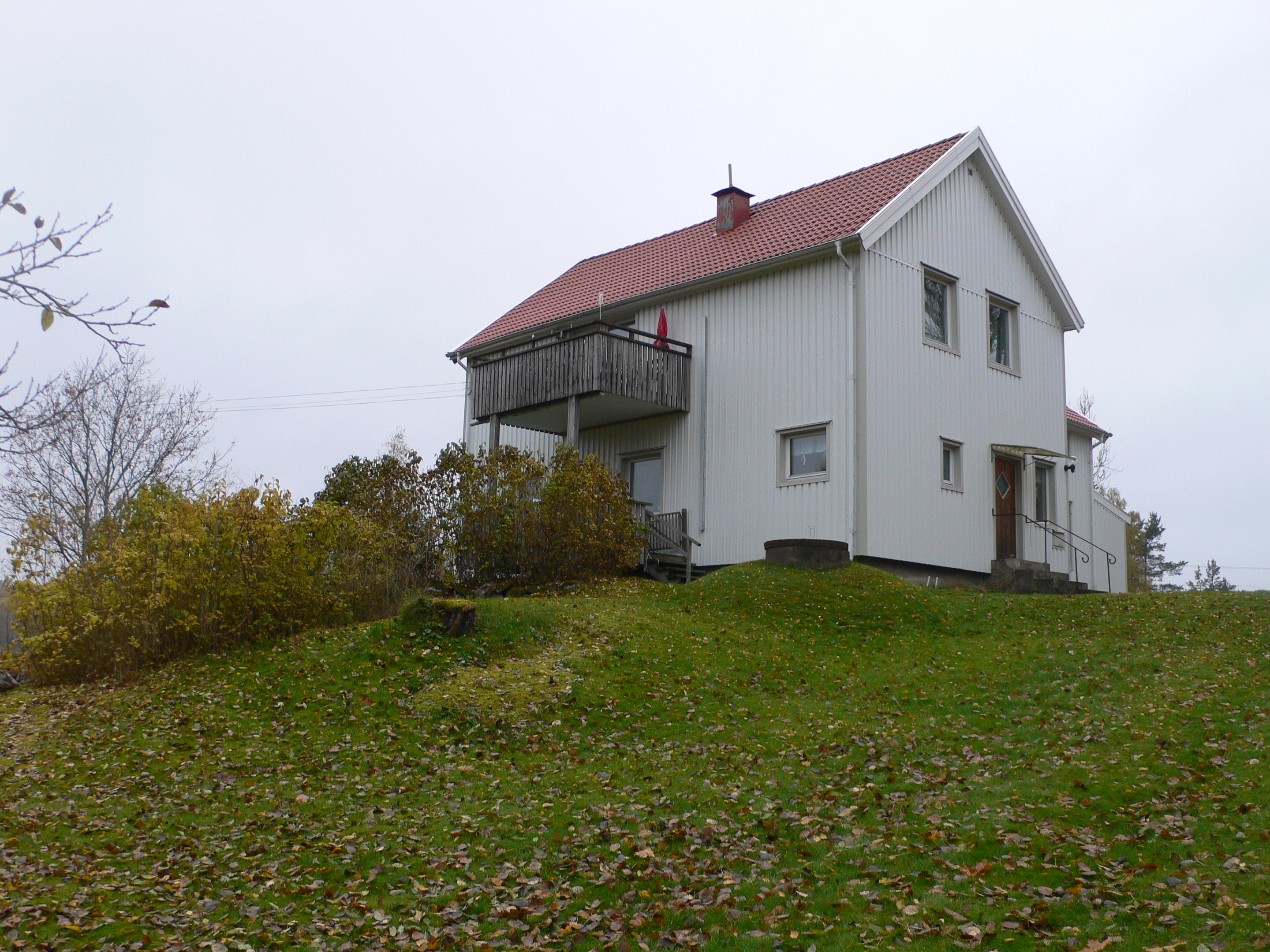 image-7258