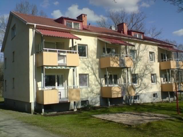 image-8738